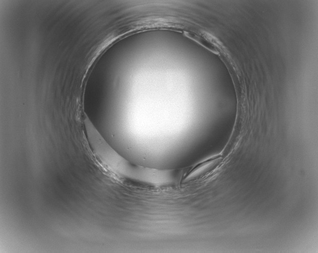 X0000052991089200508051101