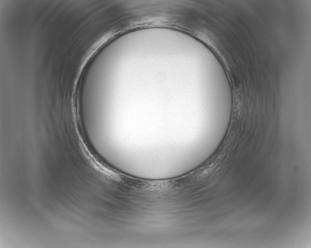 X0000052991090200508051101