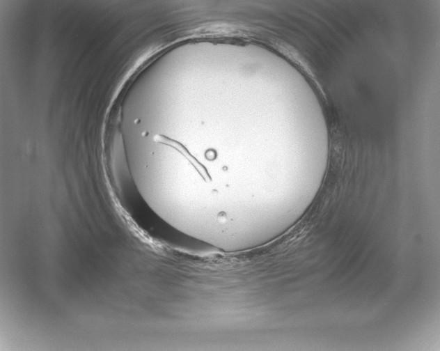 X0000052991091200508051101