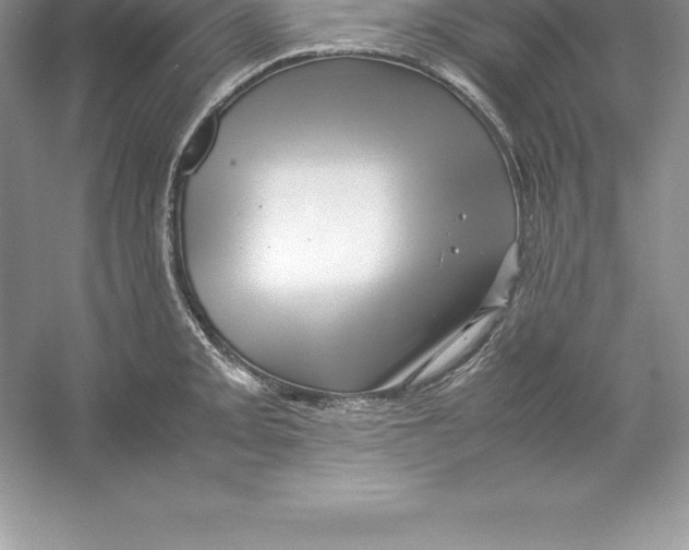 X0000052991093200508051101