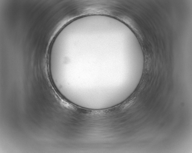 X0000052991094200508051101