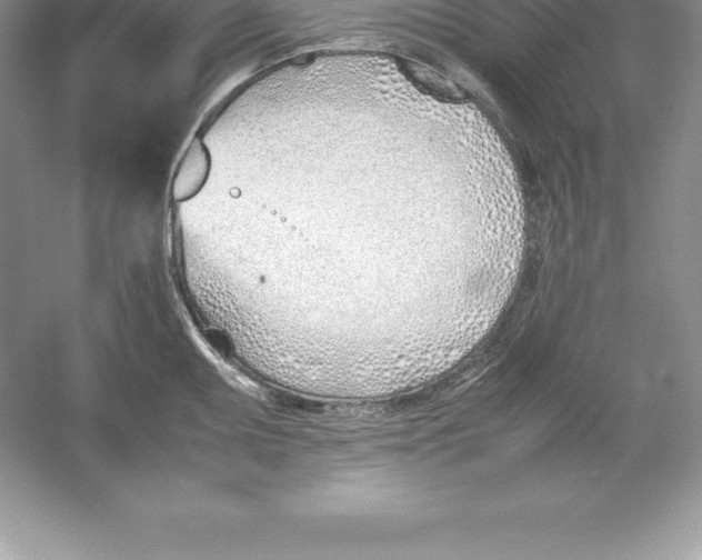 X0000052991095200508051101