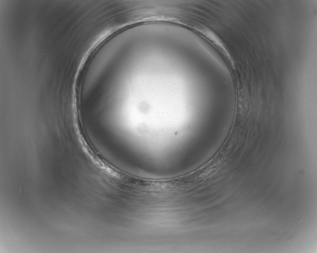 X0000052991096200508051101