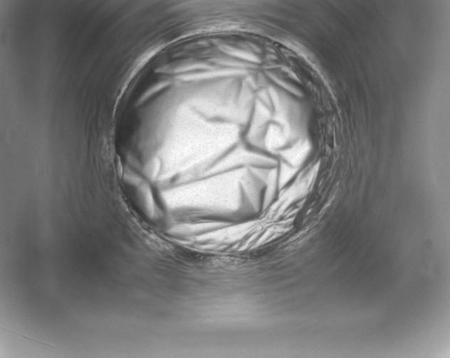 X0000052991097200508051101