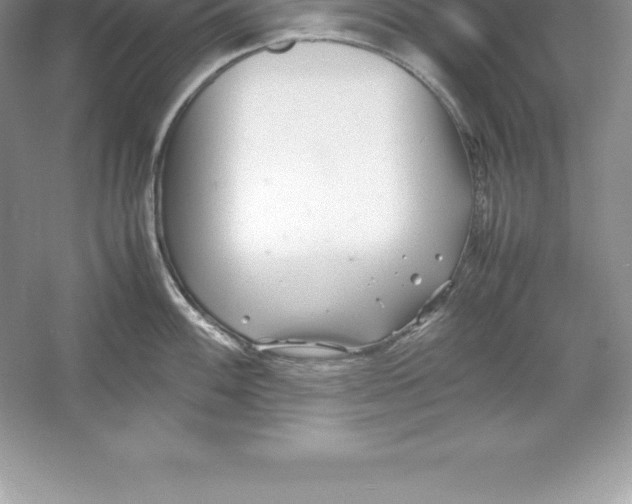 X0000052991100200508051101