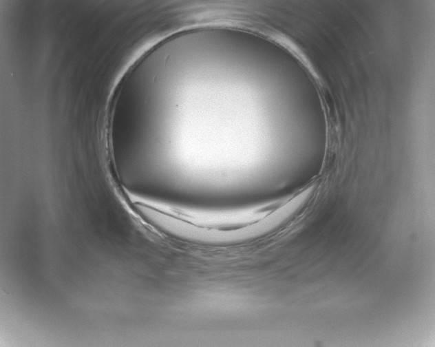 X0000052991101200508051101