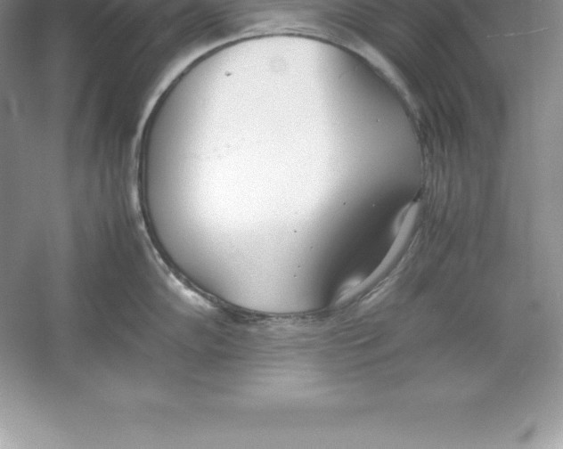 X0000052991102200508051101