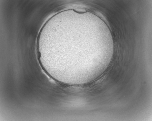 X0000052991103200508051101