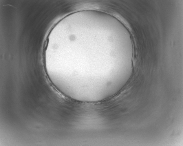 X0000052991104200508051101