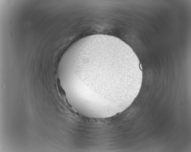 X0000052991105200508051100