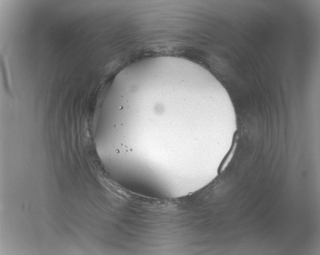 X0000052991106200508051100