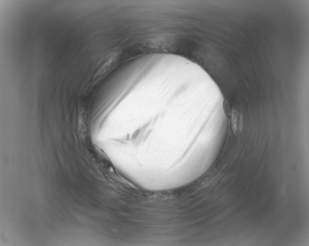 X0000052991107200508051100