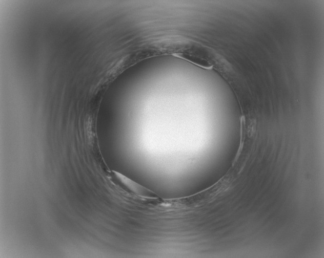 X0000052991108200508051100