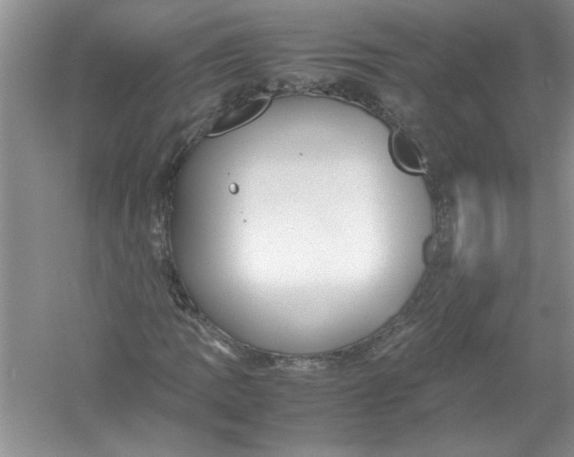 X0000052991109200508051100