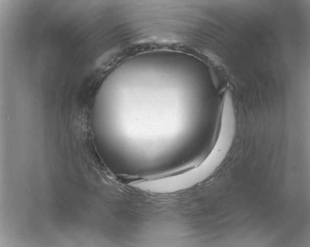 X0000052991110200508051100