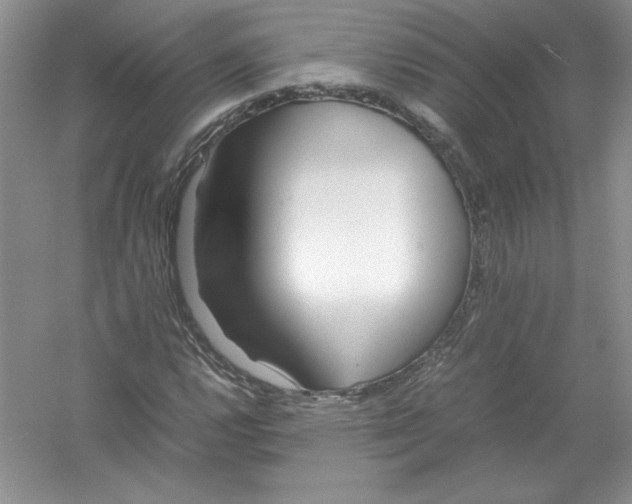 X0000052991112200508051100