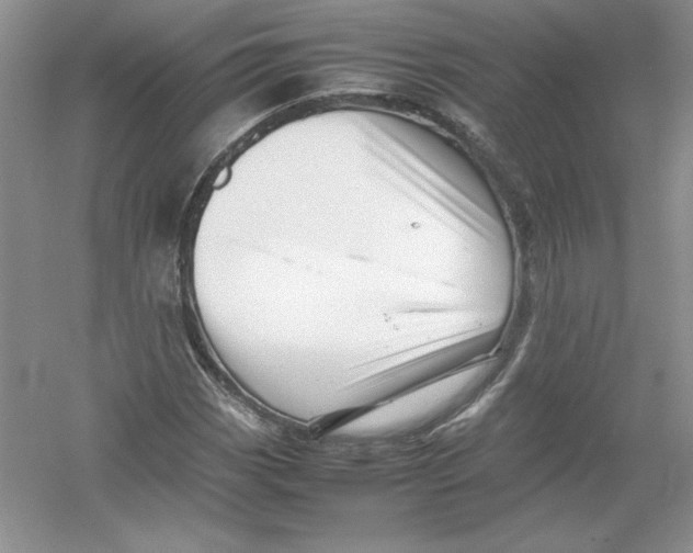 X0000052991113200508051100