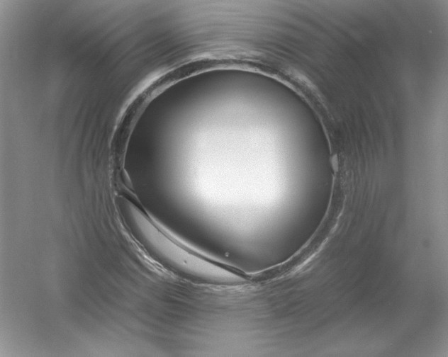 X0000052991114200508051100