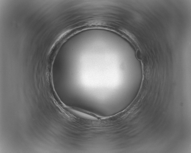 X0000052991115200508051100