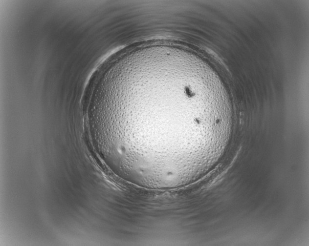 X0000052991117200508051100