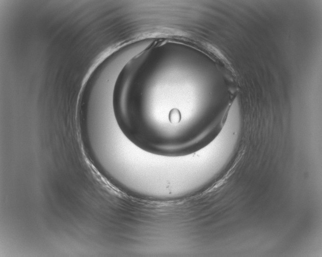 X0000052991122200508051100