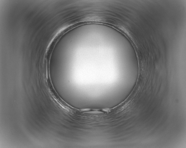 X0000052991123200508051100