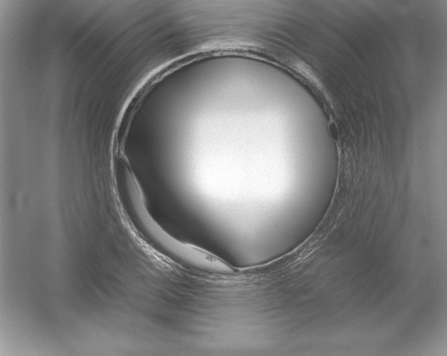 X0000052991124200508051100