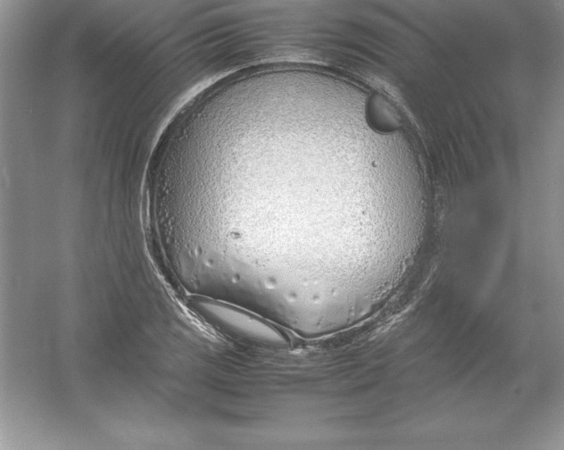 X0000052991125200508051101