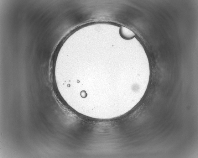 X0000052991126200508051101