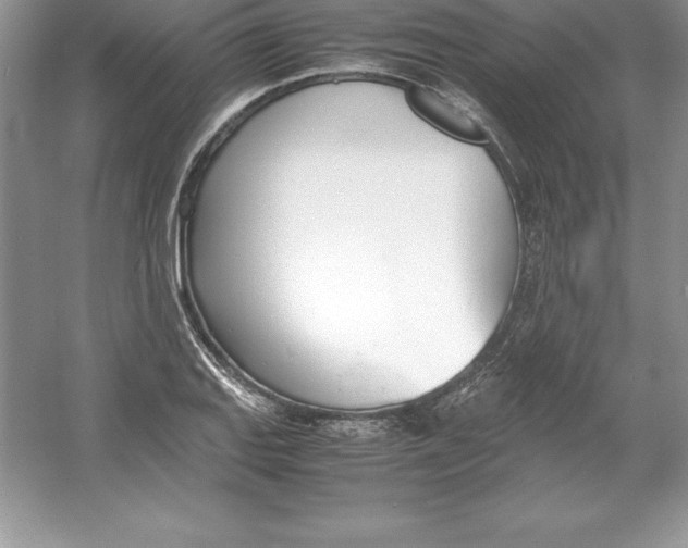 X0000052991127200508051101