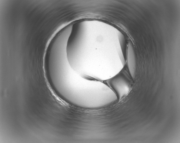 X0000052991128200508051101