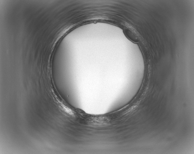 X0000052991129200508051101