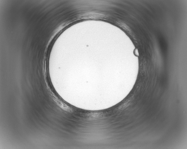 X0000052991130200508051101