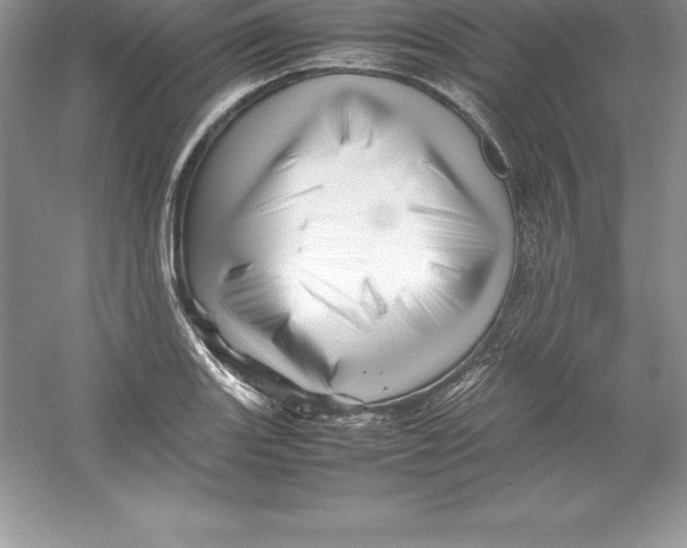 X0000052991131200508051101