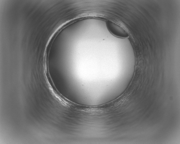 X0000052991132200508051101