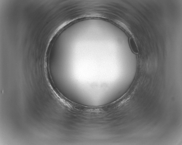 X0000052991133200508051101