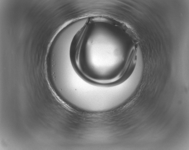 X0000052991134200508051101