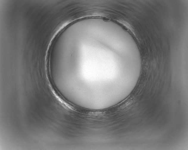 X0000052991135200508051101