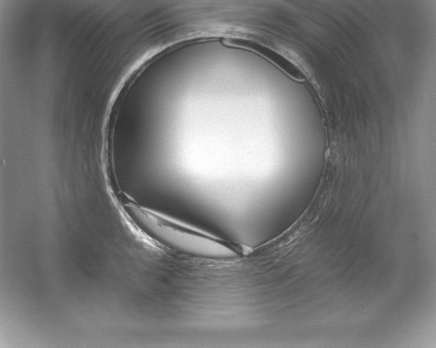 X0000052991136200508051101