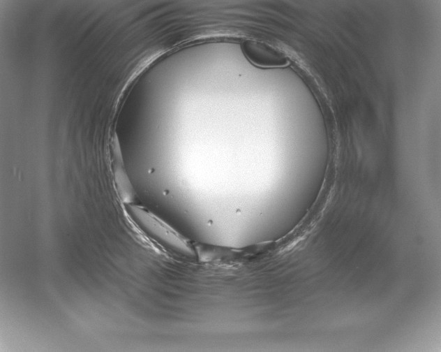 X0000052991137200508051101