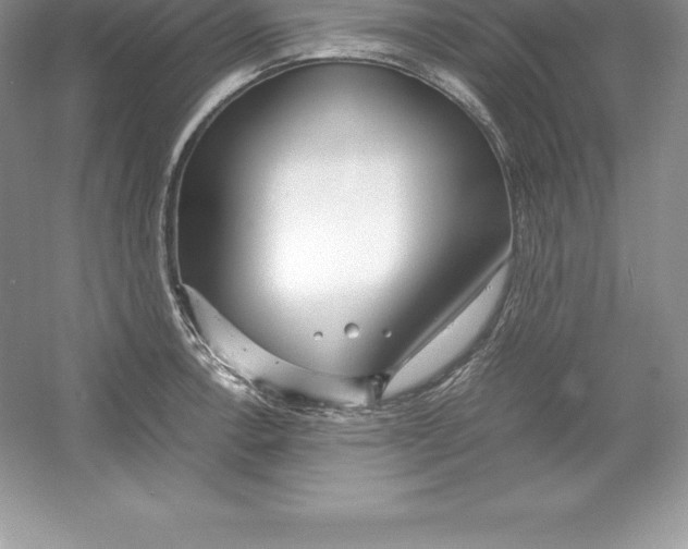 X0000052991138200508051101