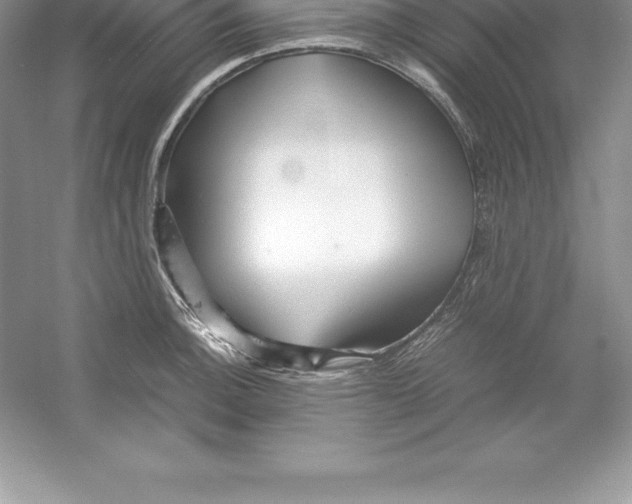 X0000052991140200508051101