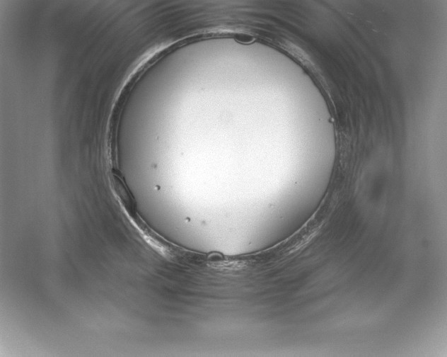 X0000052991141200508051101