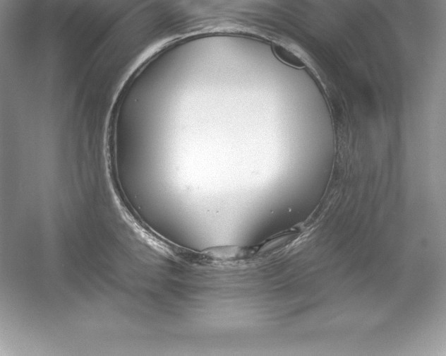 X0000052991142200508051101