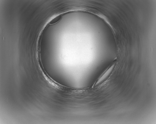 X0000052991143200508051101