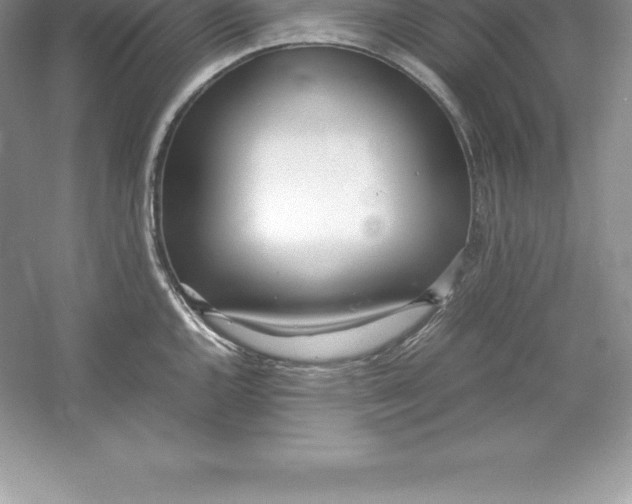 X0000052991144200508051101