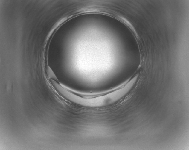 X0000052991146200508051101