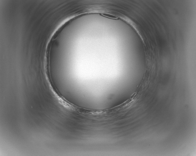 X0000052991147200508051101