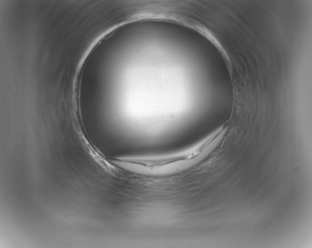 X0000052991148200508051101