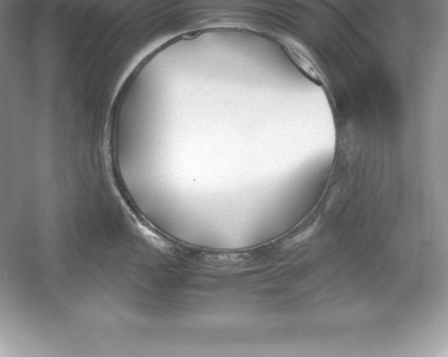 X0000052991149200508051101